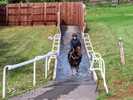 WG061023-46 - Warren Greatrex stable vist